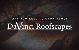 Why You Need to Know about DaVinci Roofscapes
