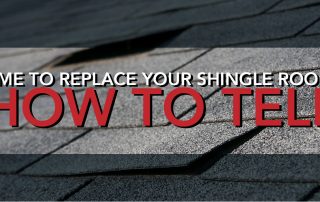 Time to Replace Your Shingle Roof? How to Tell