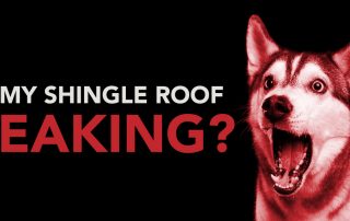 Is my shingle roof leaking?