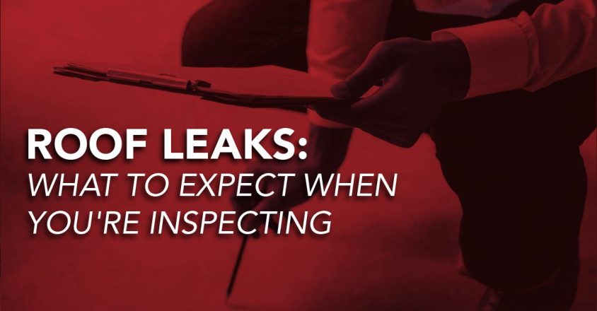 Roof Leaks: What To Expect When You're Inspecting