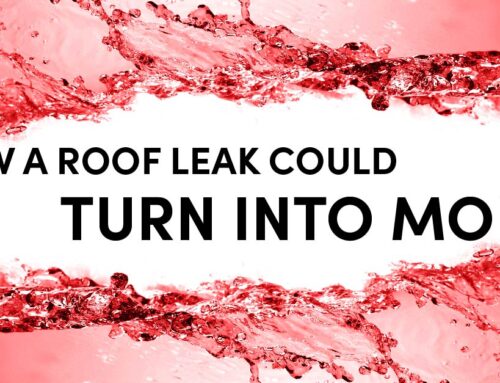 How A Roof Leak Could Turn Into Mold