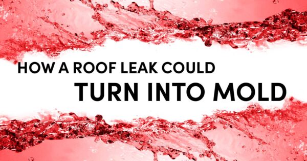 How A Roof Leak Could Turn Into Mold