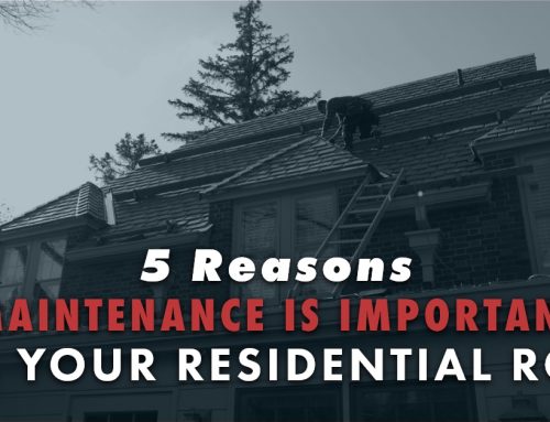 5 Reasons Maintenance Is Important For Your Residential Roof