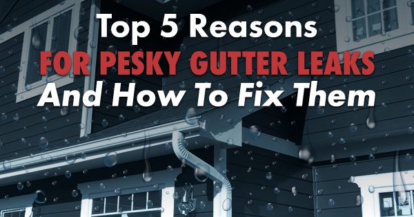 Decorative Graphic with caption Top 5 reasons for pesky gutter leaks and how to fix them